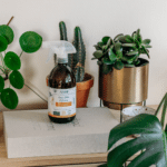 Souci, Ortie & Sureau 500 mL