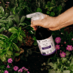 Prêle, Ail & Thym 500 mL