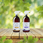 Duo Plantes d’intérieur