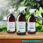 Trio Plantes d’intérieur