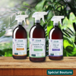 Trio Plantes d’intérieur – Image 2