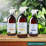 Trio Plantes d’intérieur – Image 3