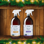 Duo Plantes d’intérieur