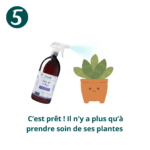 Recharge concentrée 30 mL Prêle, Ail & Thym – Image 7