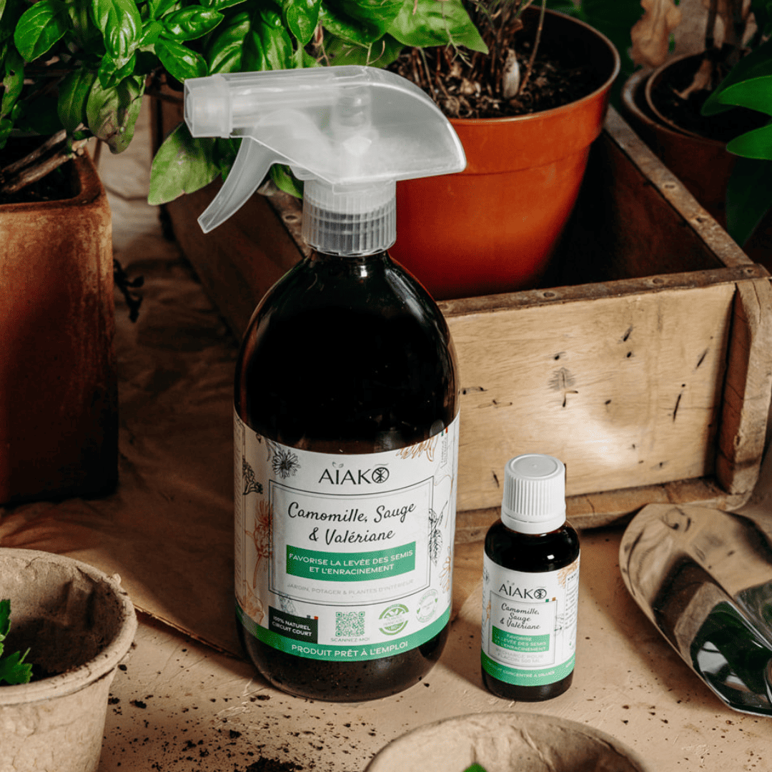 Pack Semis & Boutures