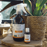 Pack Plantes d'intérieur