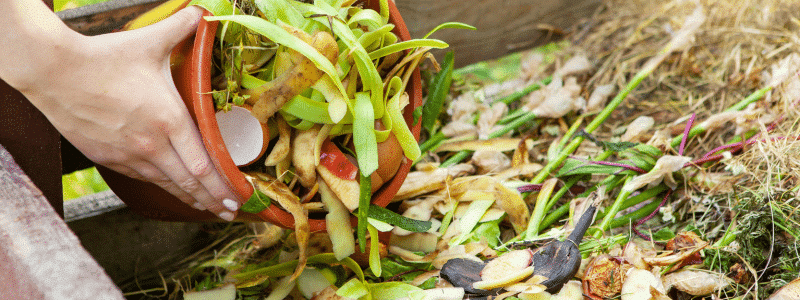 que faire au potager en février 5