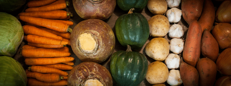 que faire au potager en février 4