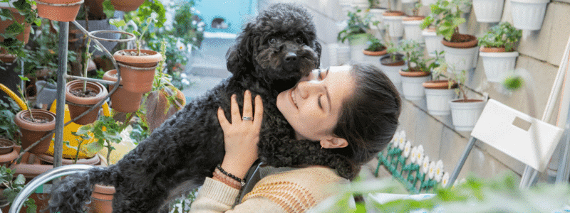 Comment empêcher mon chat d'abîmer mes plantes d'intérieur - AÏAKO (4)