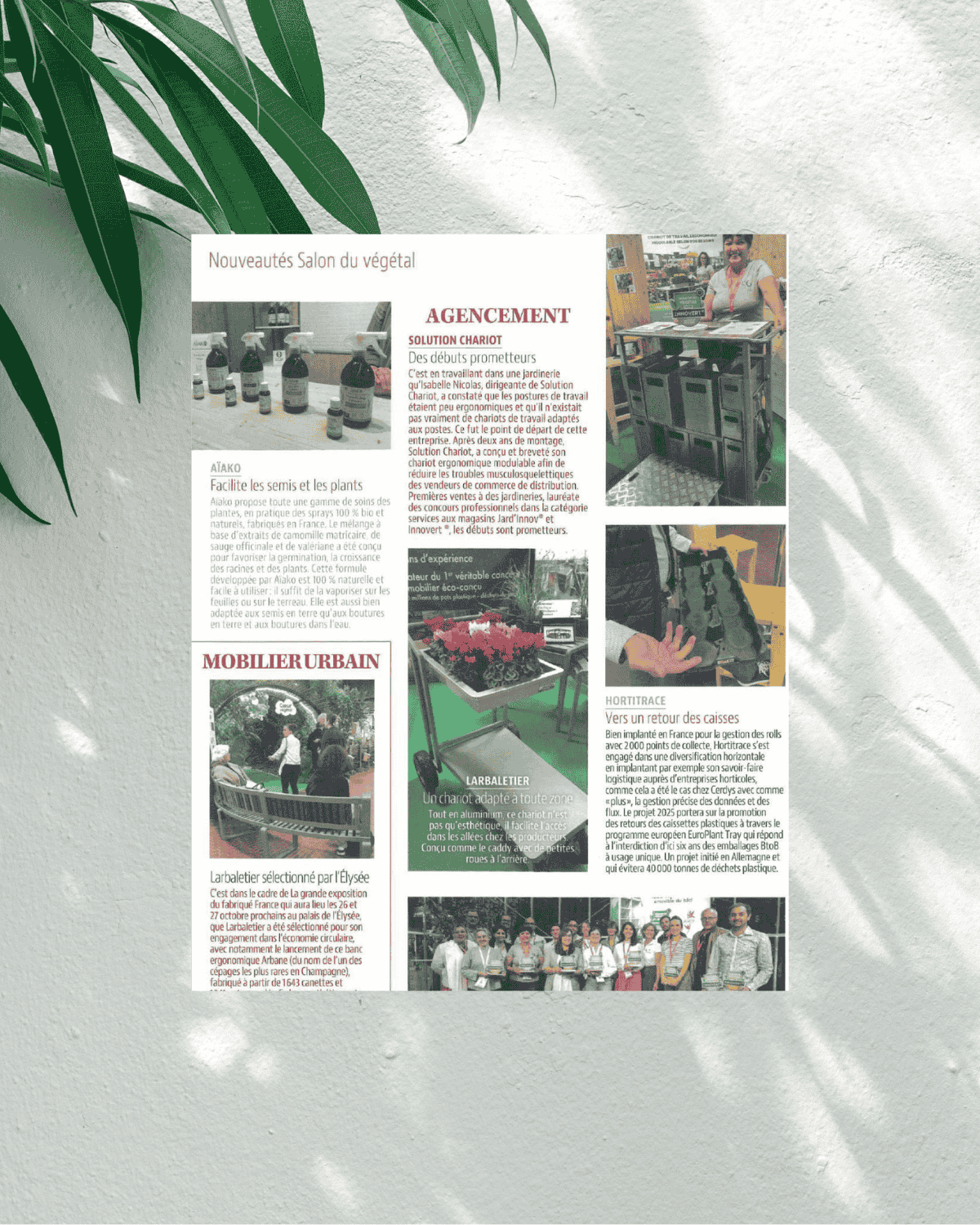 Magazine Jardineries novembre 2024