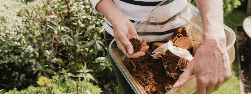 engrais naturel plantes interieur