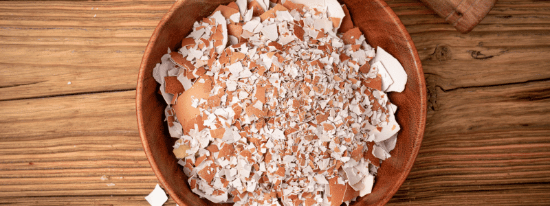 engrais naturel plantes interieur