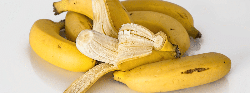 engrais naturel plantes interieur