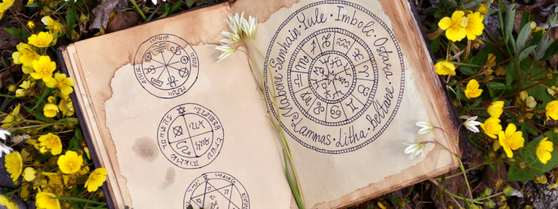 Plantes de sorcières : quand la magie inspire le jardin à Halloween - AÏAKO