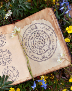 Plantes de sorcières : quand la magie inspire le jardin à Halloween - AÏAKO