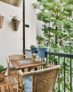 10 plantes qui résistent au froid pour mon balcon - AÏAKO