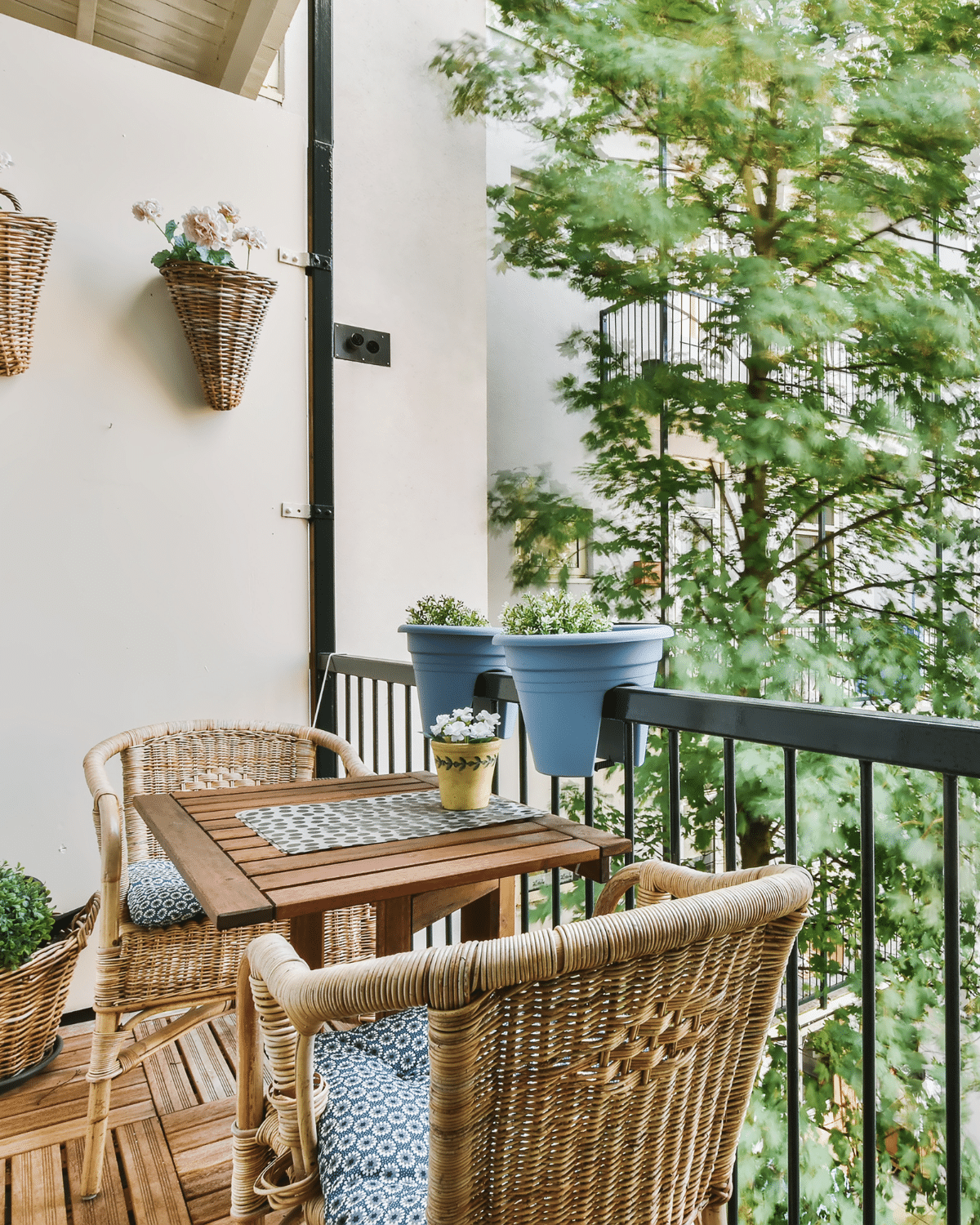 10 plantes qui résistent au froid pour mon balcon - AÏAKO