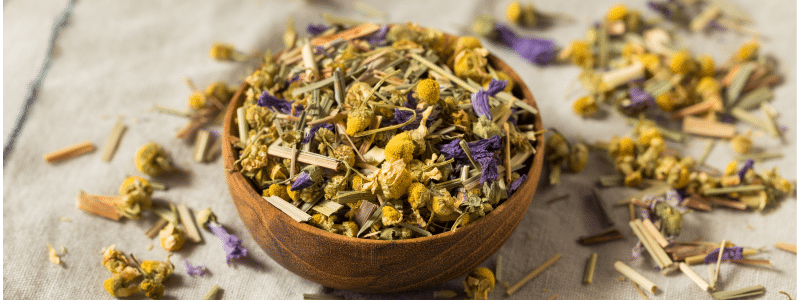 Camomille : usages et bienfaits au jardin