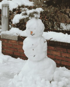Potager d’hiver : préparer, planter et jardiner pendant la saison froide